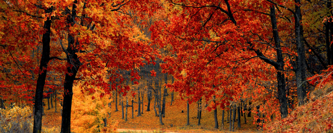 Preparing your business for autumn